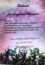 Ikar 1_upraveny